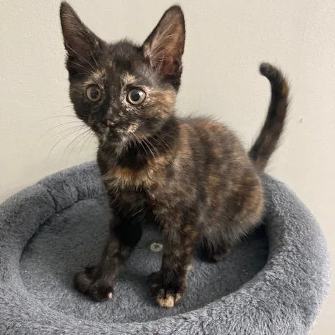 Nj  Holly thumbnail 2