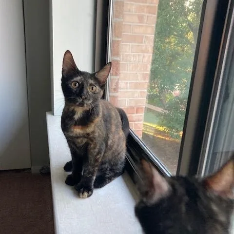 Nj  Holly thumbnail 4