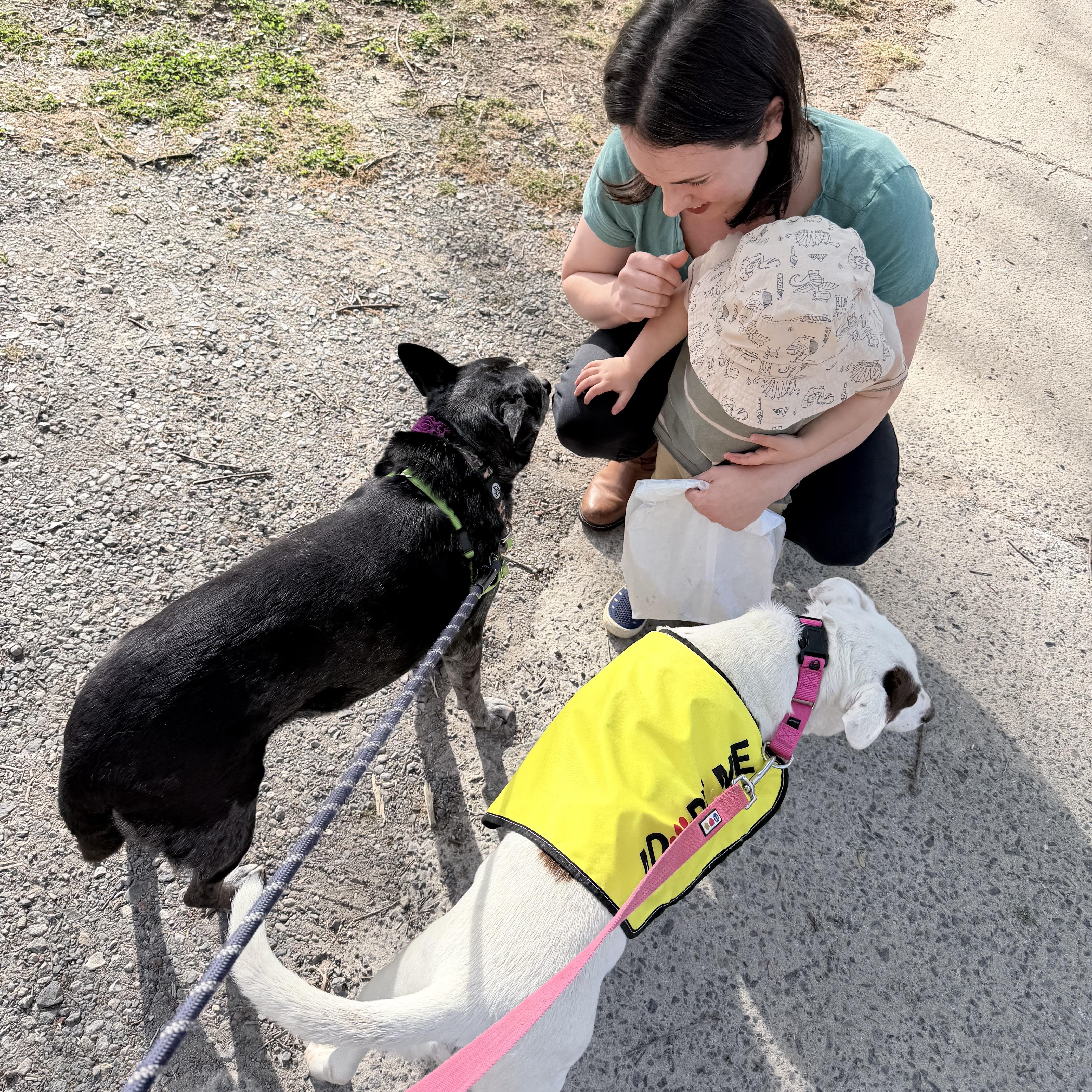 Clarabelle thumbnail 2