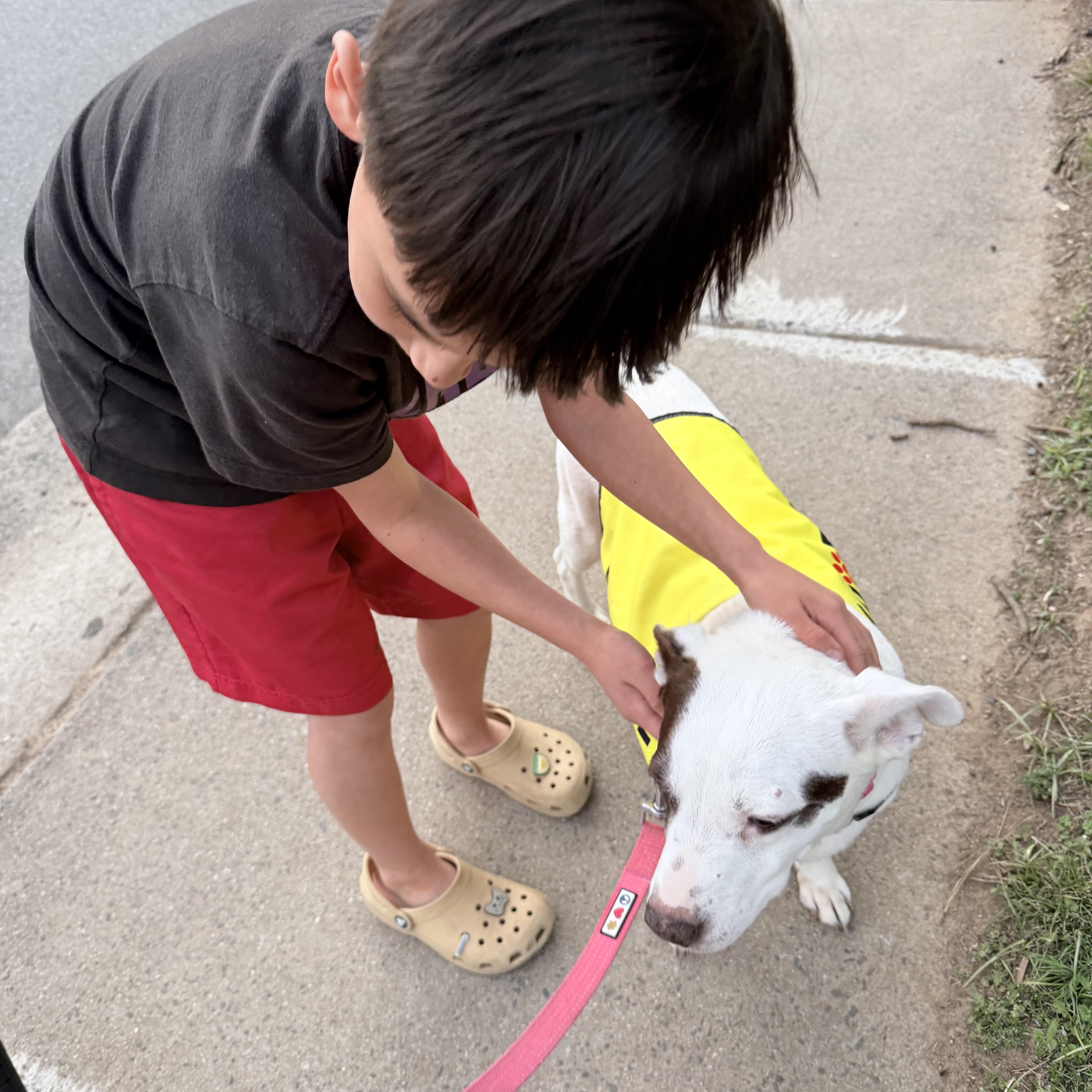 Clarabelle thumbnail 3