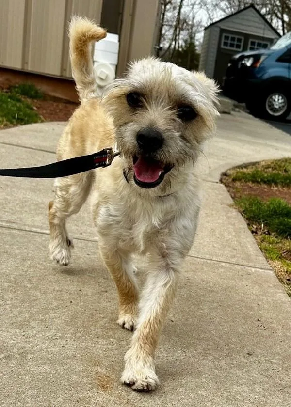 Ferguson thumbnail 2