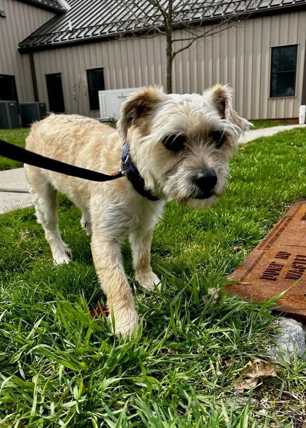 Ferguson thumbnail 3