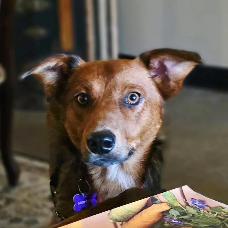 Rusty