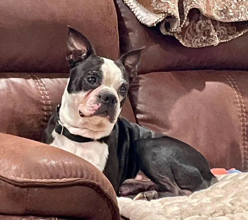 Oscar Riley