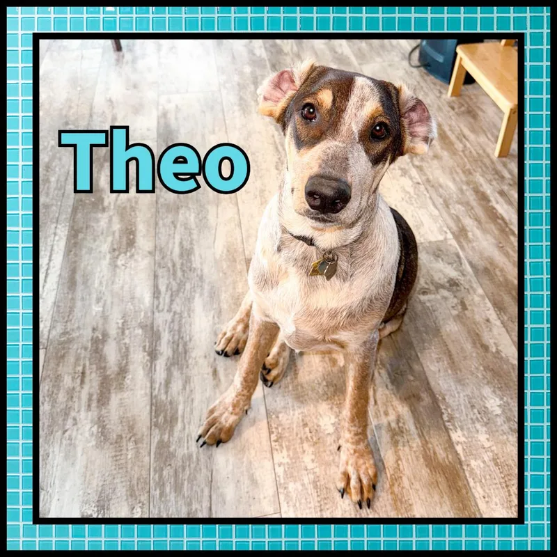 Theo Gdp