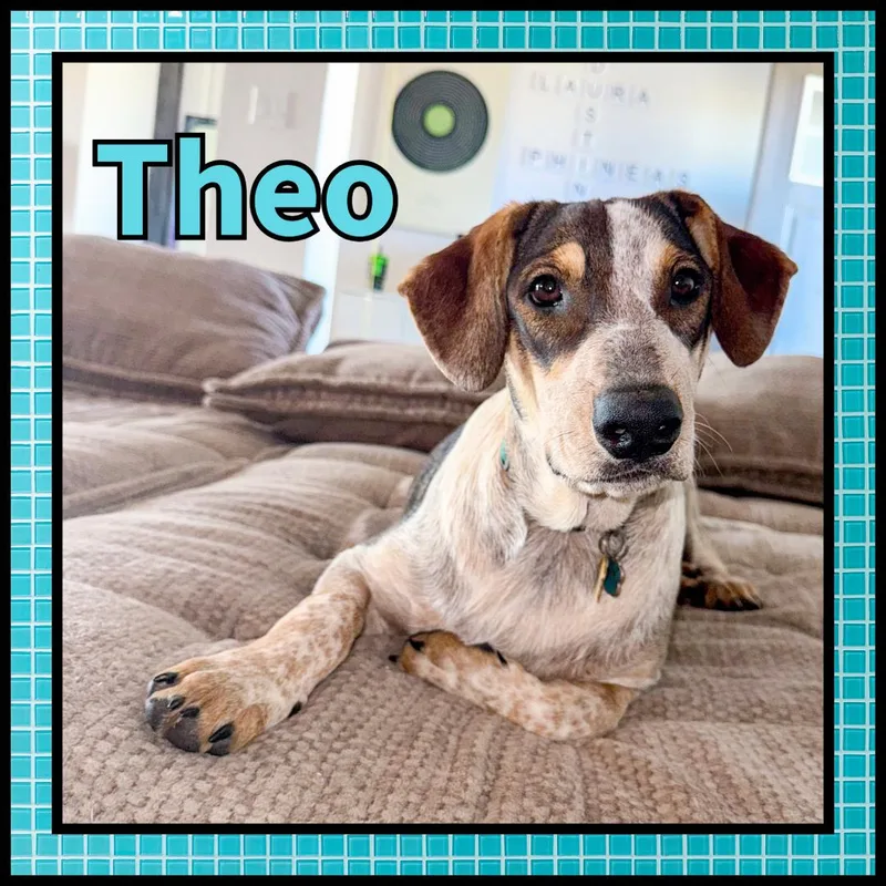 Theo Gdp thumbnail 2