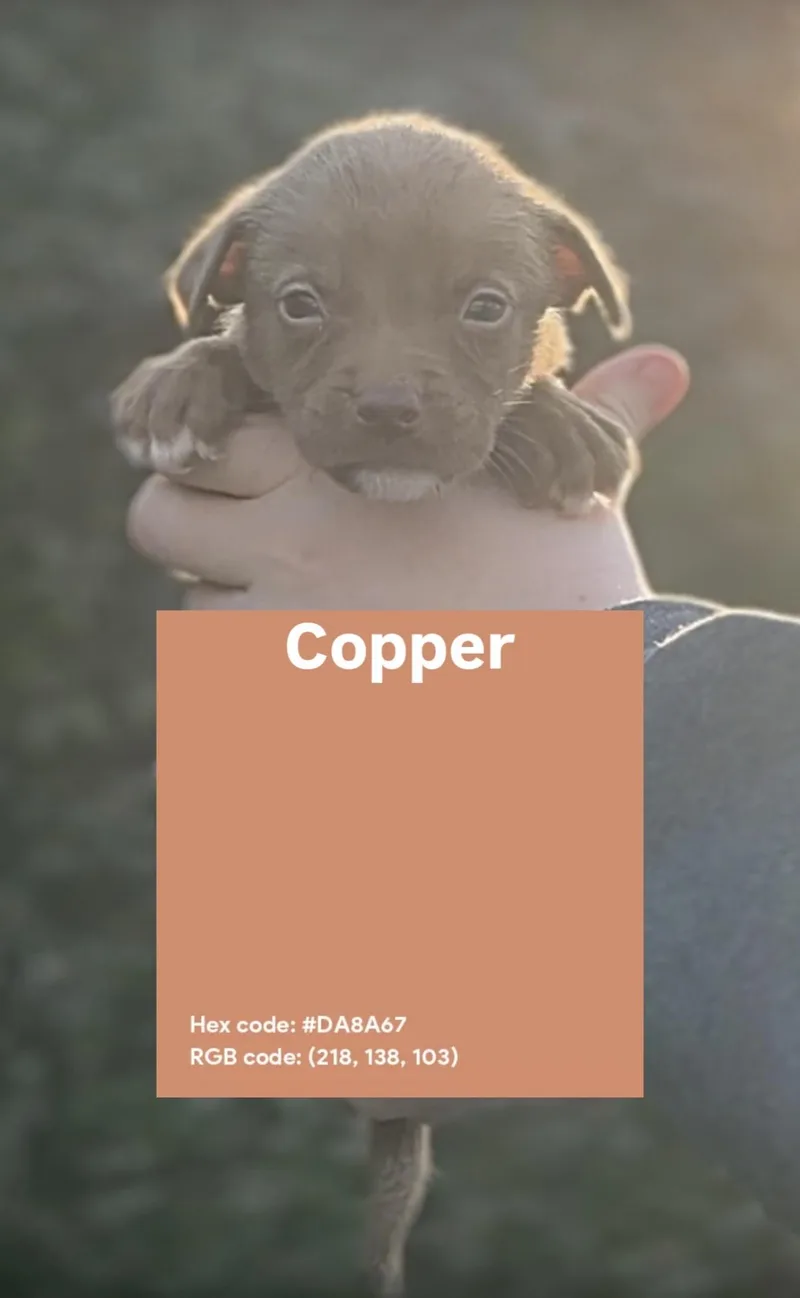 Copper