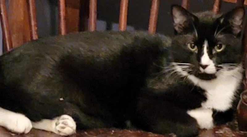 Butler  Rhett Butler thumbnail 2