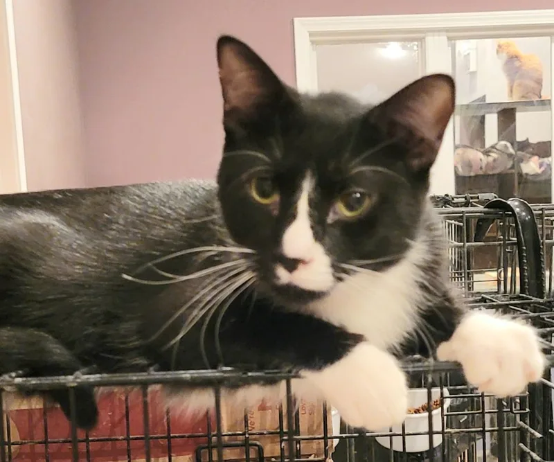 Butler  Rhett Butler