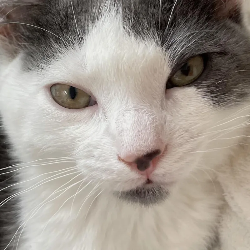 Abby thumbnail 3