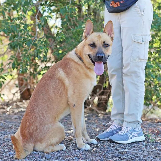 Milo