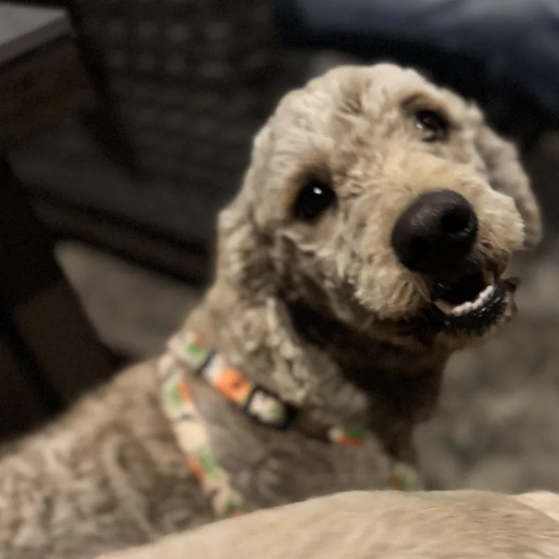 Mr. Friendly Ernie thumbnail 2