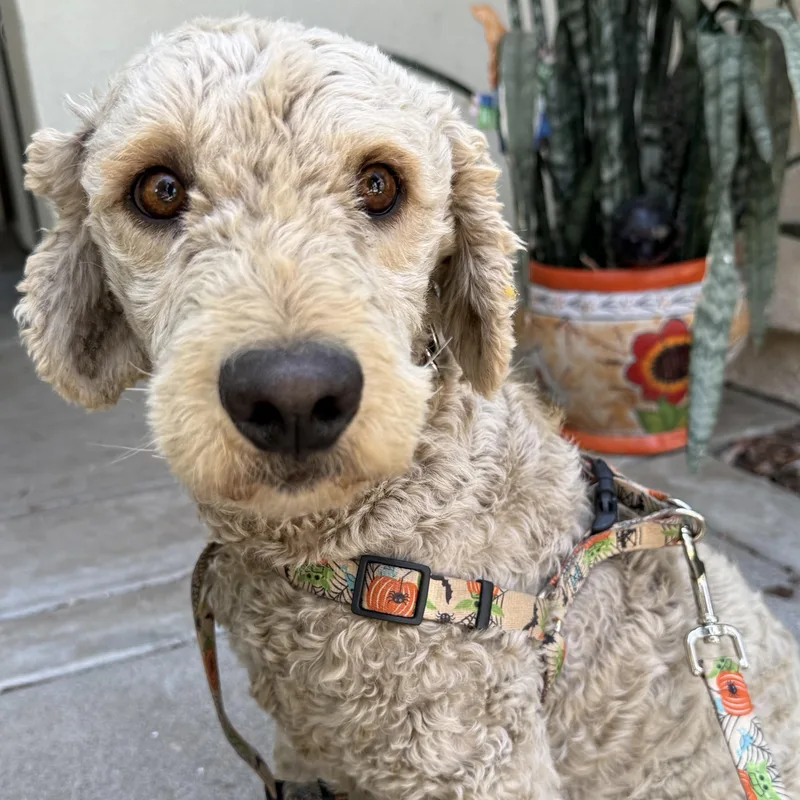 Mr. Friendly Ernie thumbnail 3