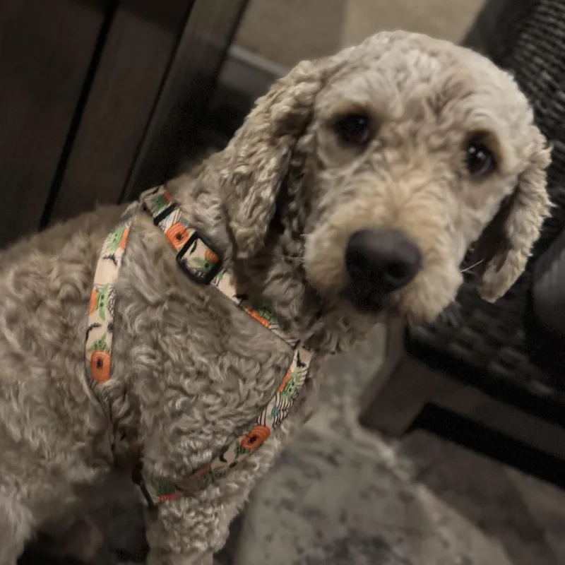 Mr. Friendly Ernie thumbnail 4