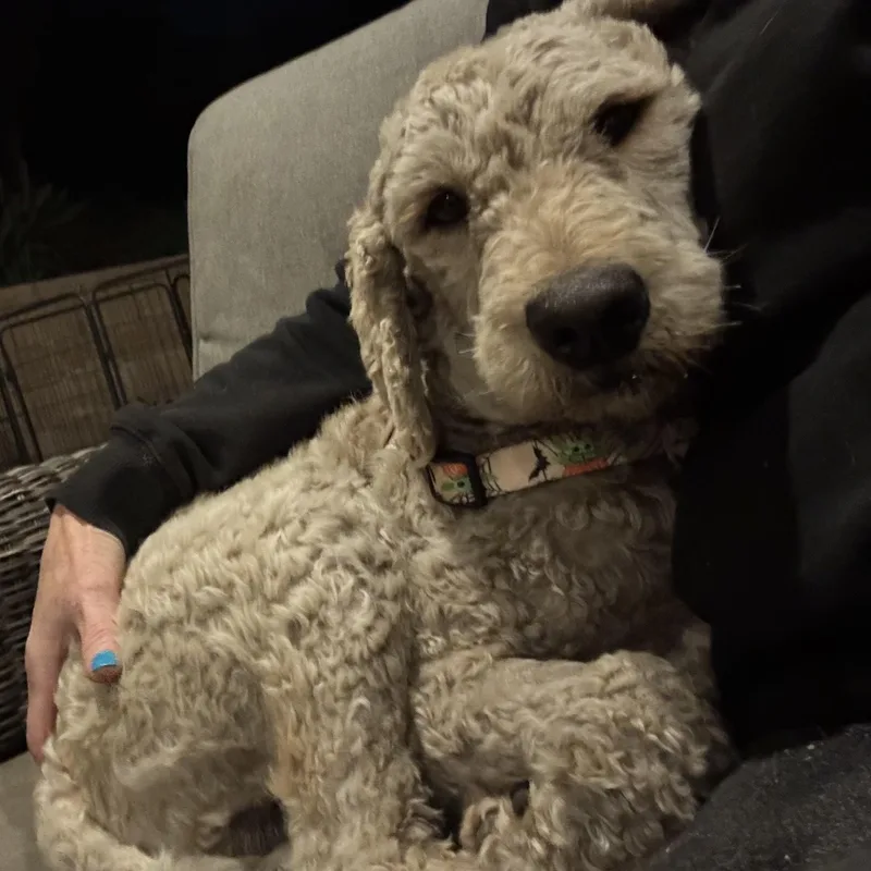 Mr. Friendly Ernie thumbnail 5