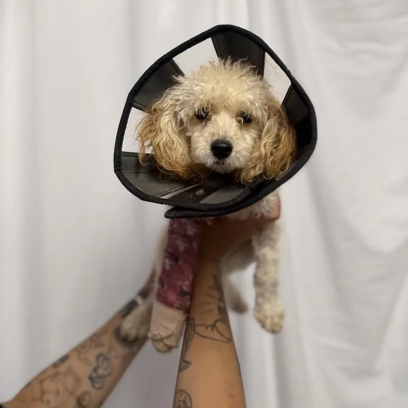 Minnie Winnie