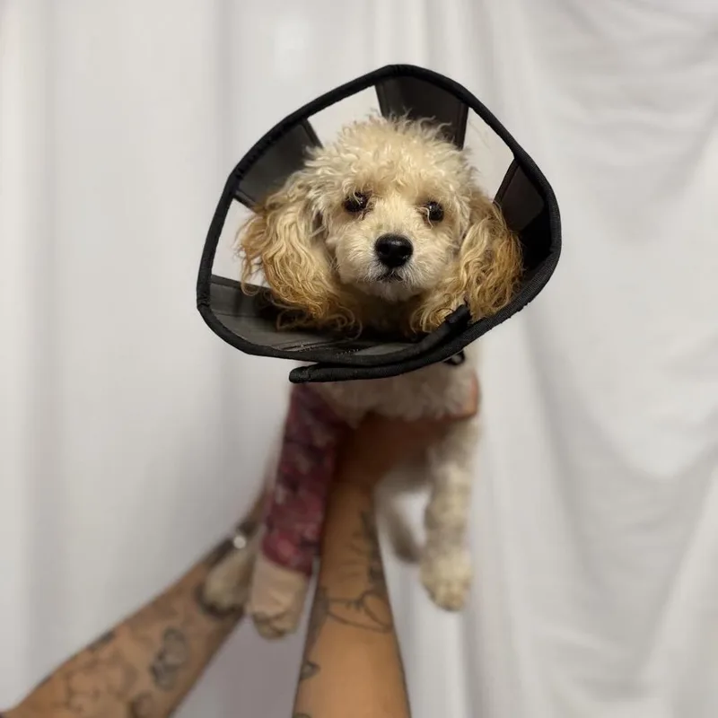 Minnie Winnie thumbnail 2