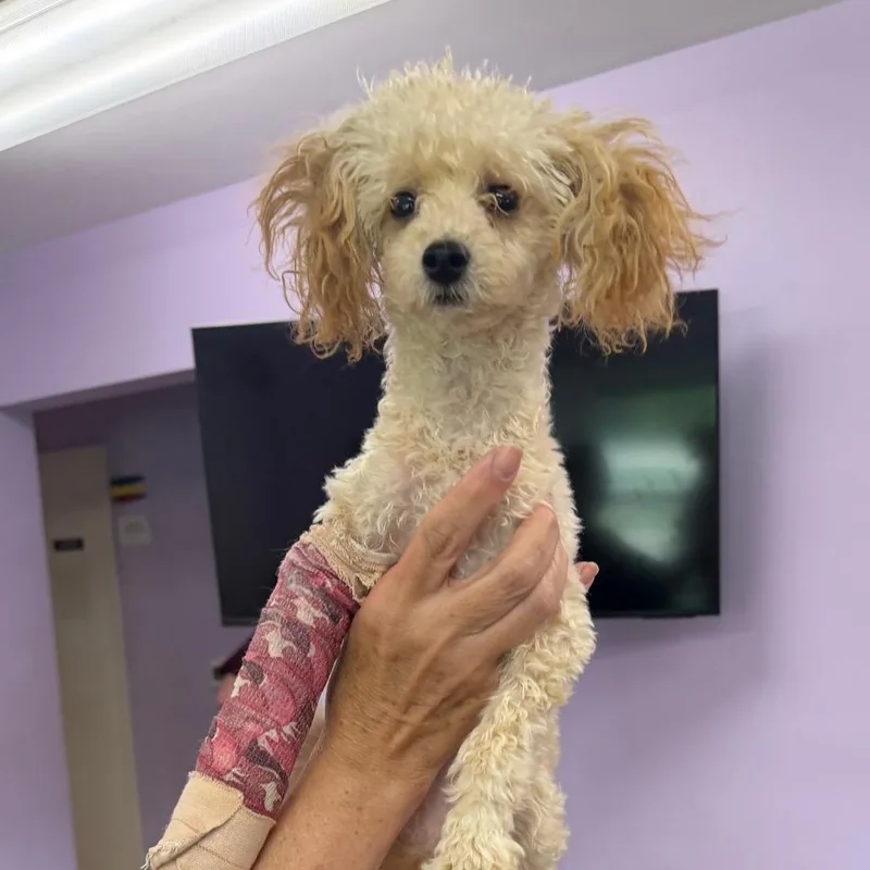 Minnie Winnie thumbnail 3