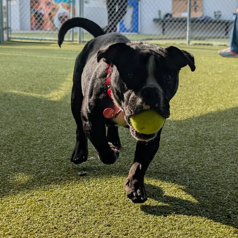 Tiny Tina thumbnail 2