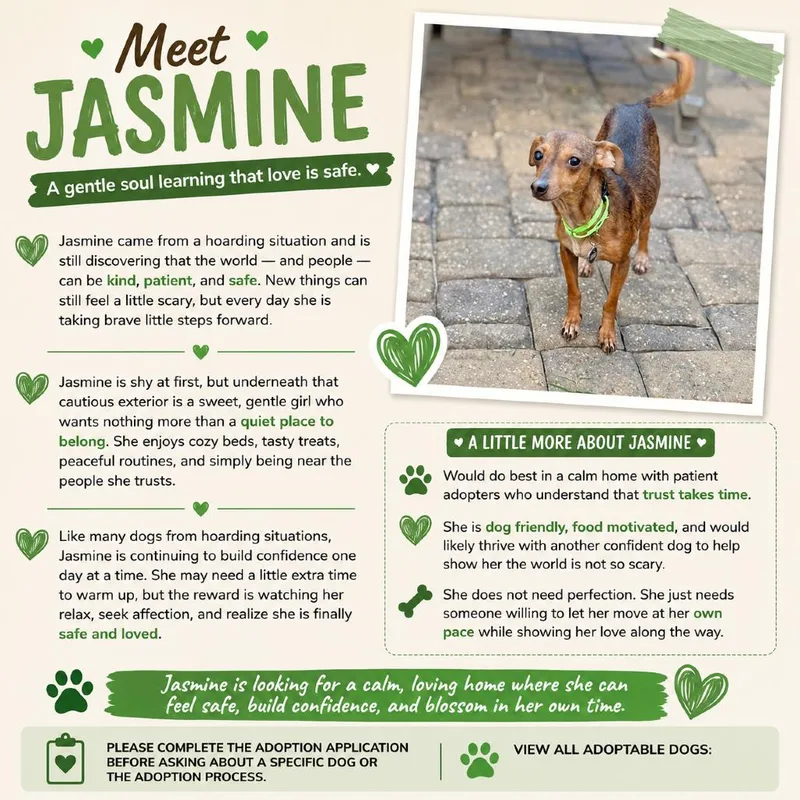 Jasmine Arriving  D