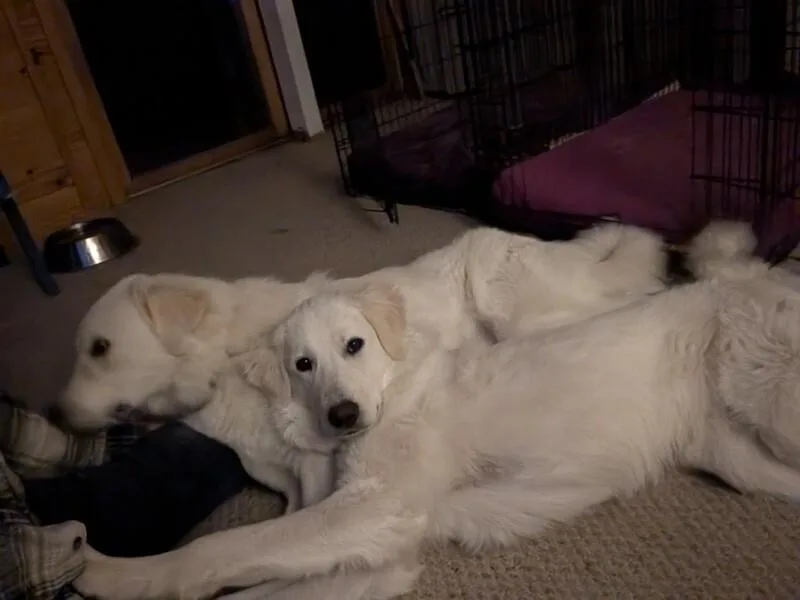 Lilly aka Buffy thumbnail 2