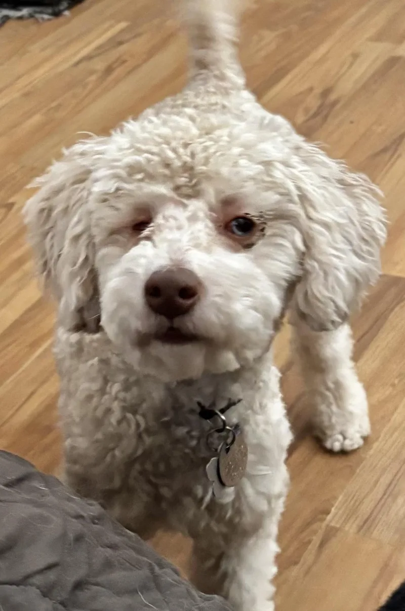 Teta Miller thumbnail 3