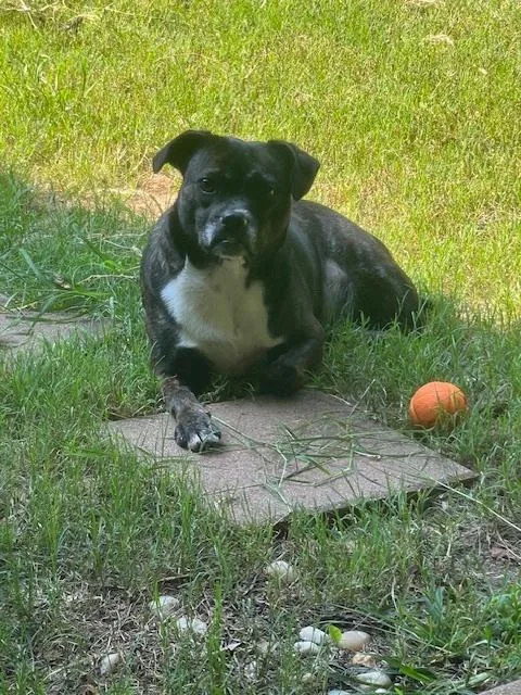 Millie Joaiken  Sc thumbnail 2