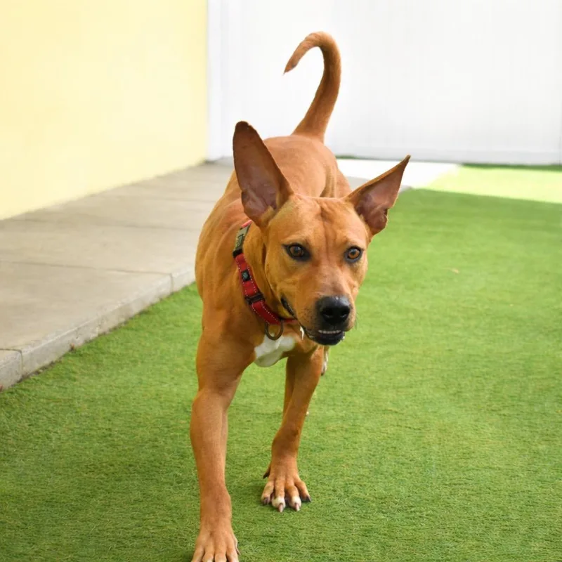 Caroline thumbnail 2