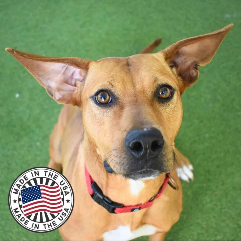 Caroline thumbnail 3