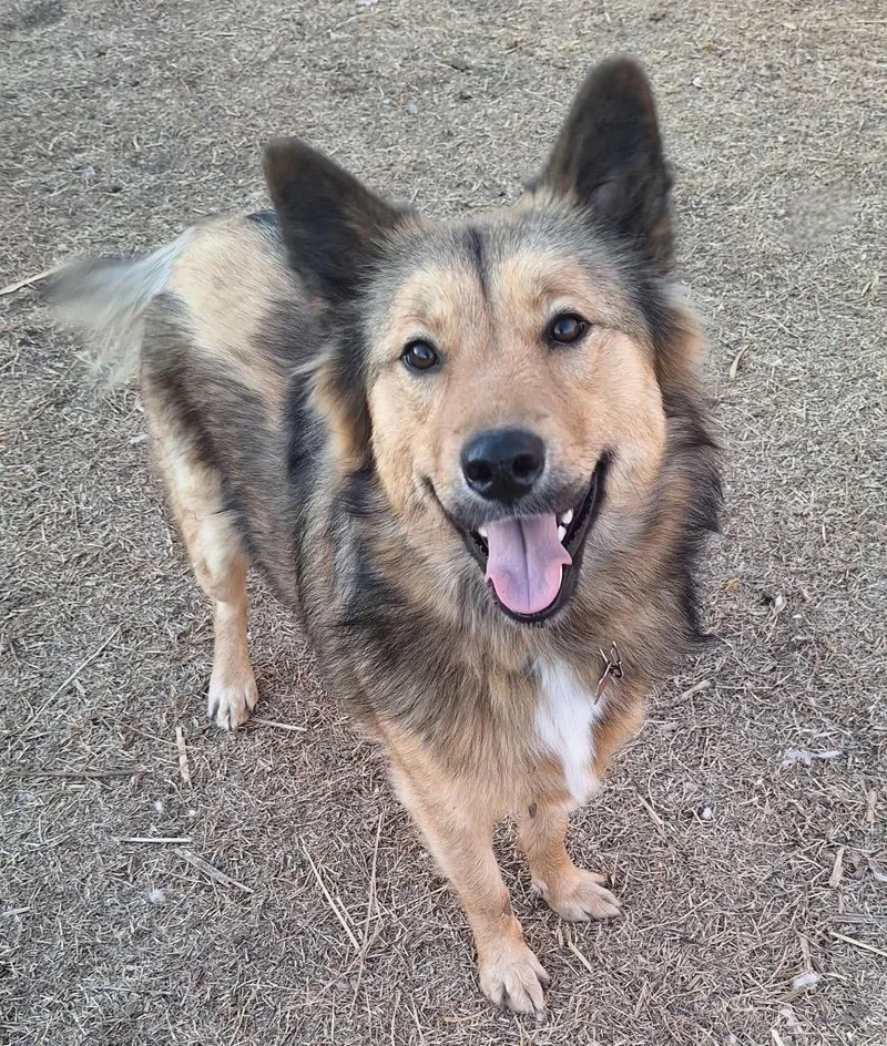 Sadie Middleton thumbnail 2