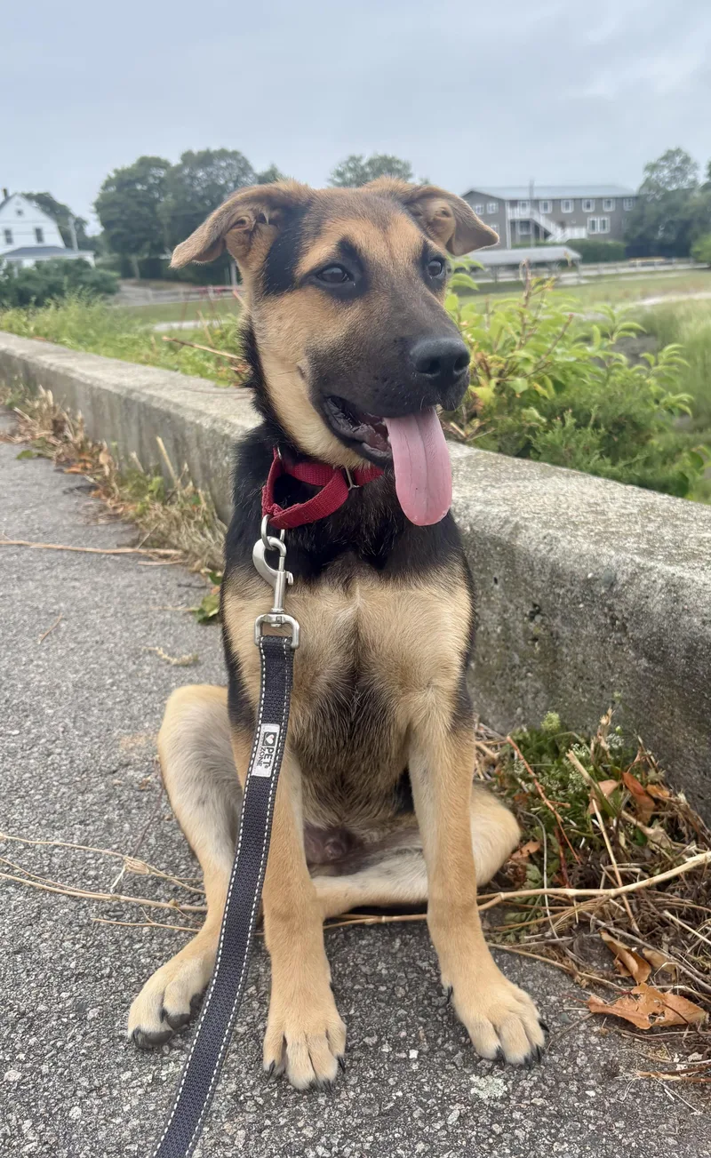Diego