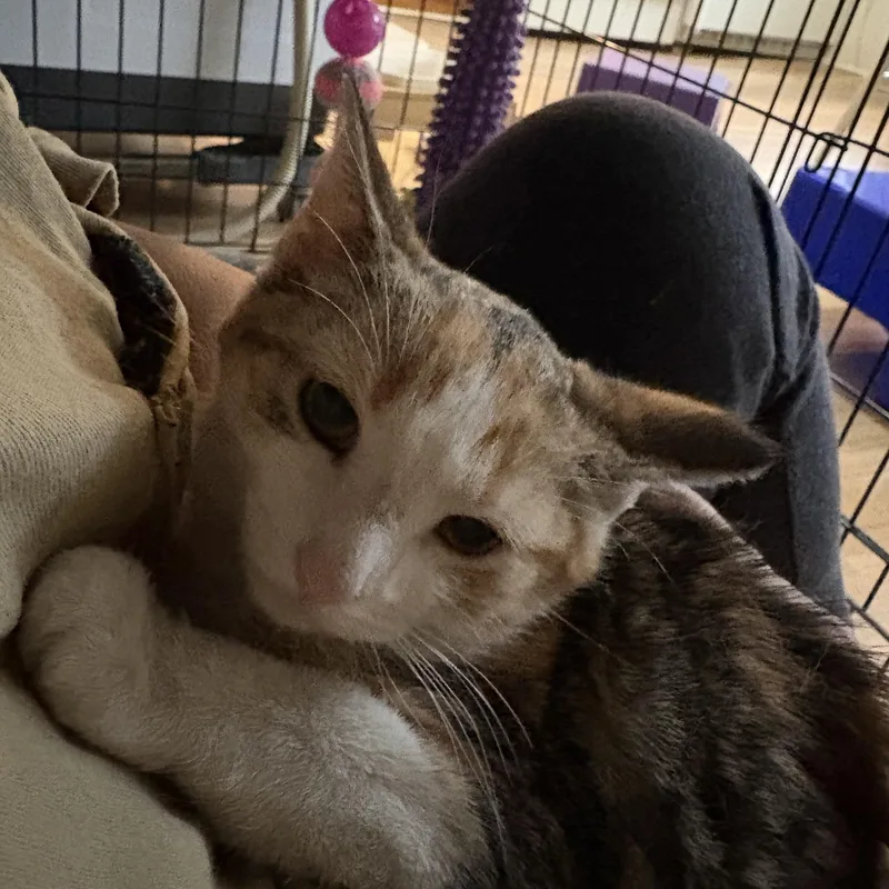 Spring N Summer thumbnail 2