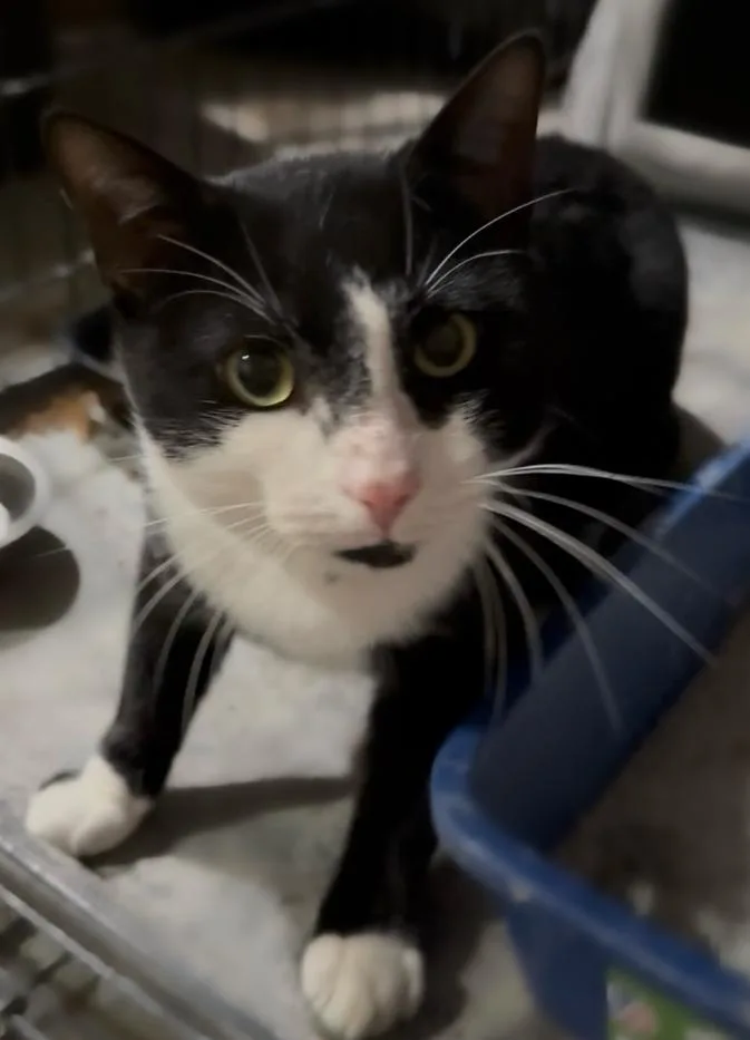 Lightning thumbnail 2