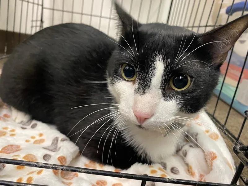 Lightning thumbnail 4