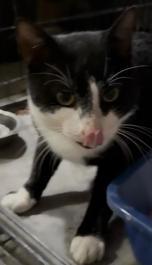 Lightning thumbnail 5