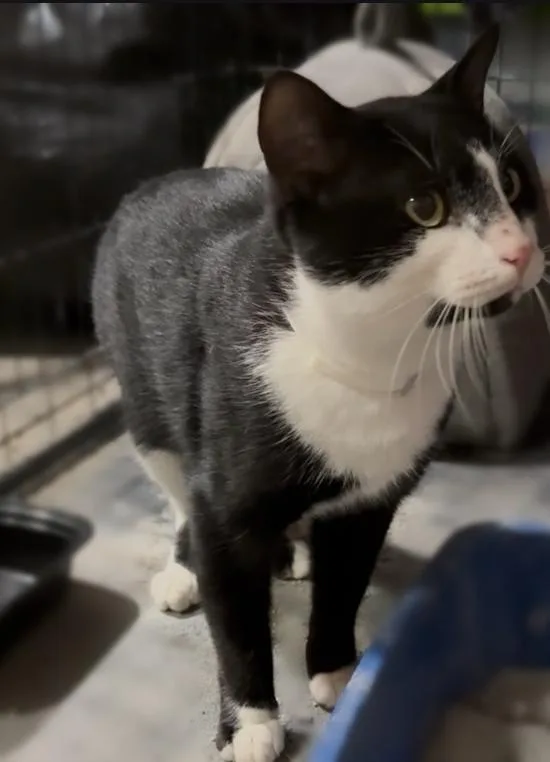 Lightning thumbnail 6