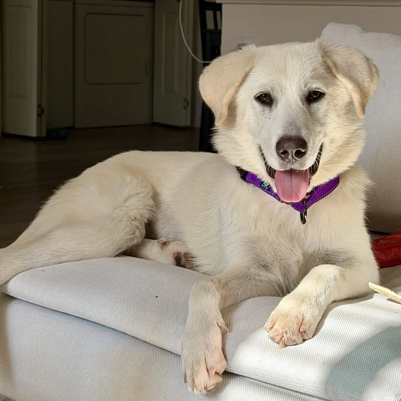 Fiona