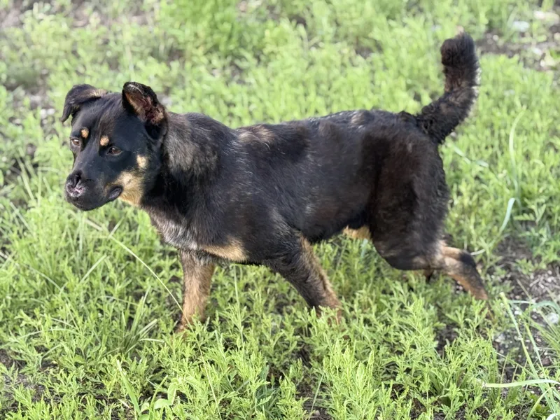 Miracle On Th St. thumbnail 2