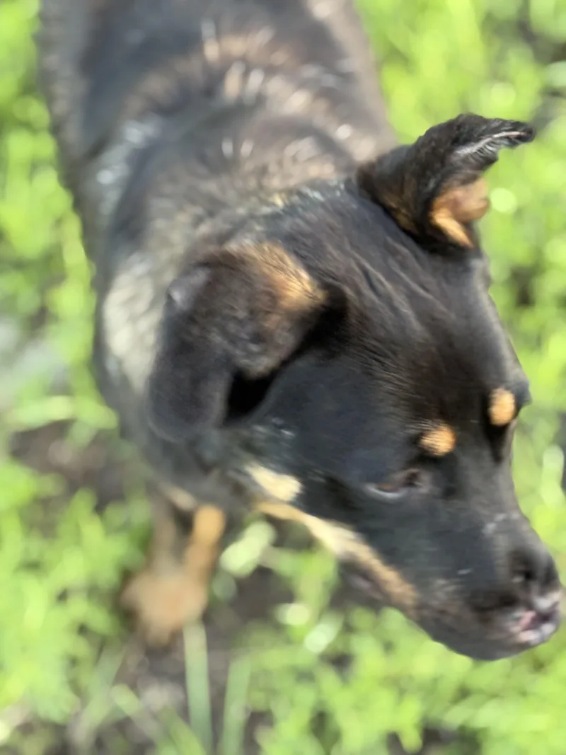 Miracle On Th St. thumbnail 3