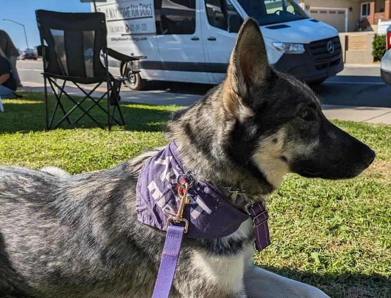 Sapphire thumbnail 2