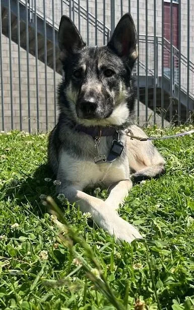 Sapphire thumbnail 6