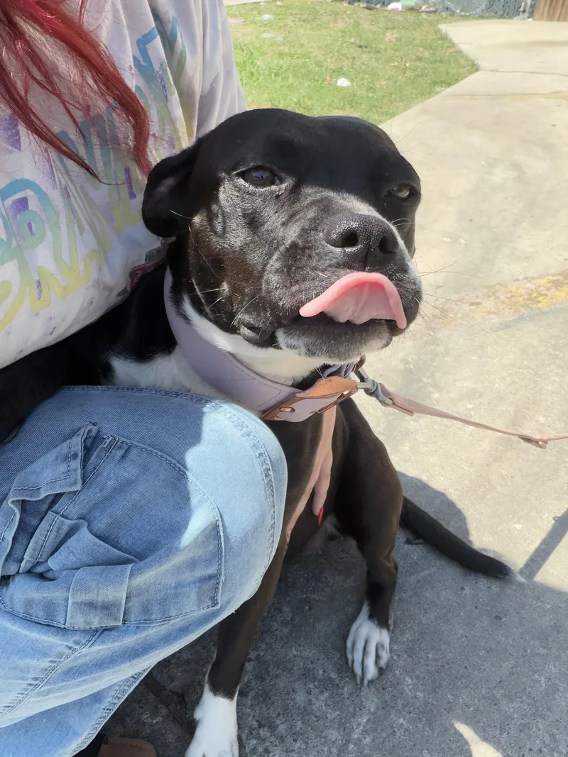 Lil Momma thumbnail 3