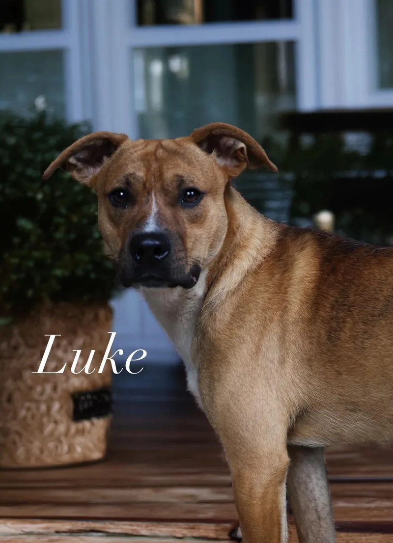 Luke