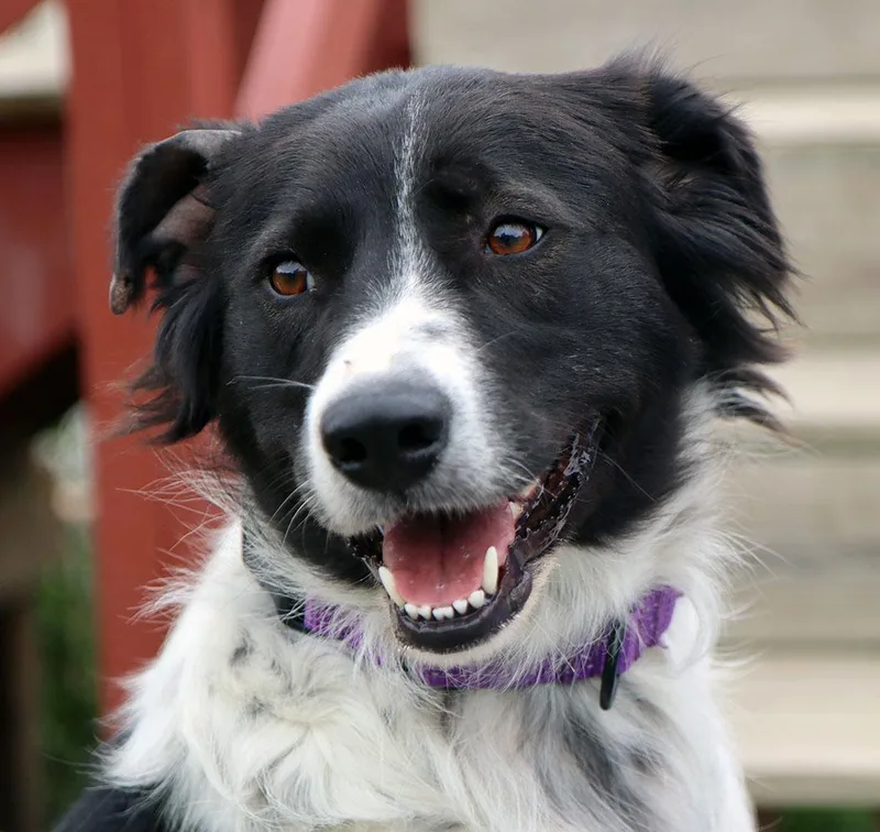 Bahama Mama