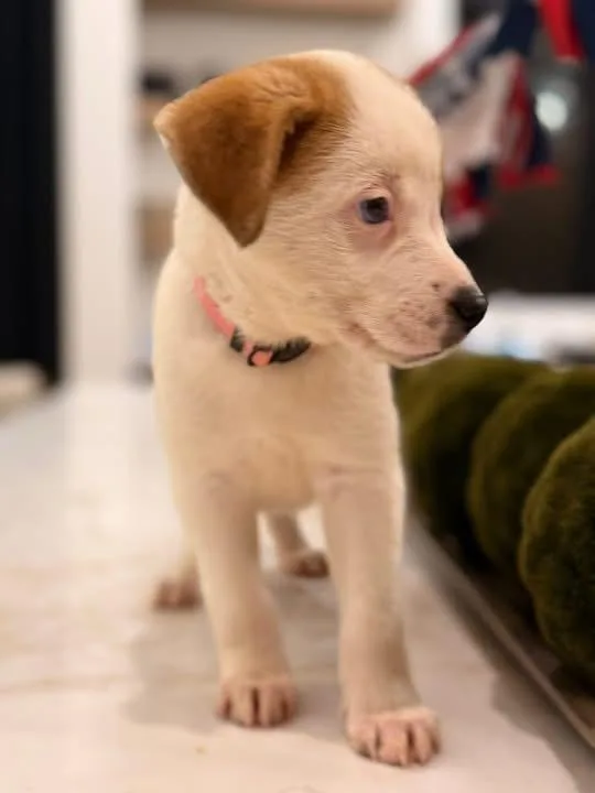 Tina thumbnail 3