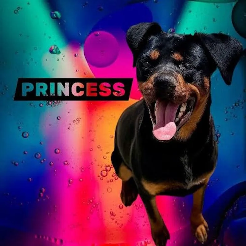 Princess