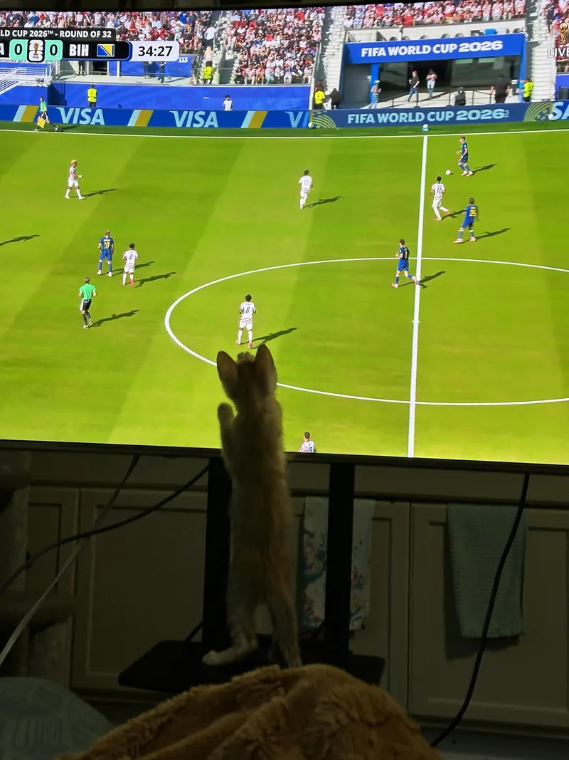 Ronaldo thumbnail 3