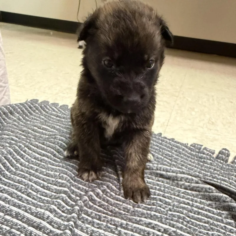 Explorer thumbnail 2