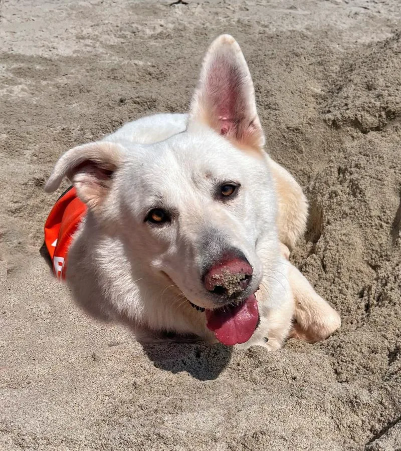 Klondike Von Kemnath thumbnail 3