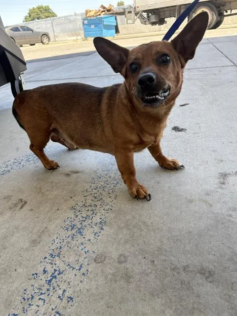 Mac
